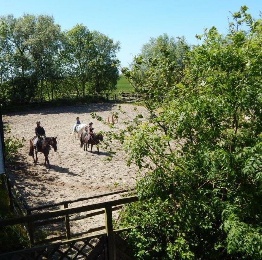 Ferienhof Frerichs Ihr Feriendomizil Am Meer Schillig Exteriör bild